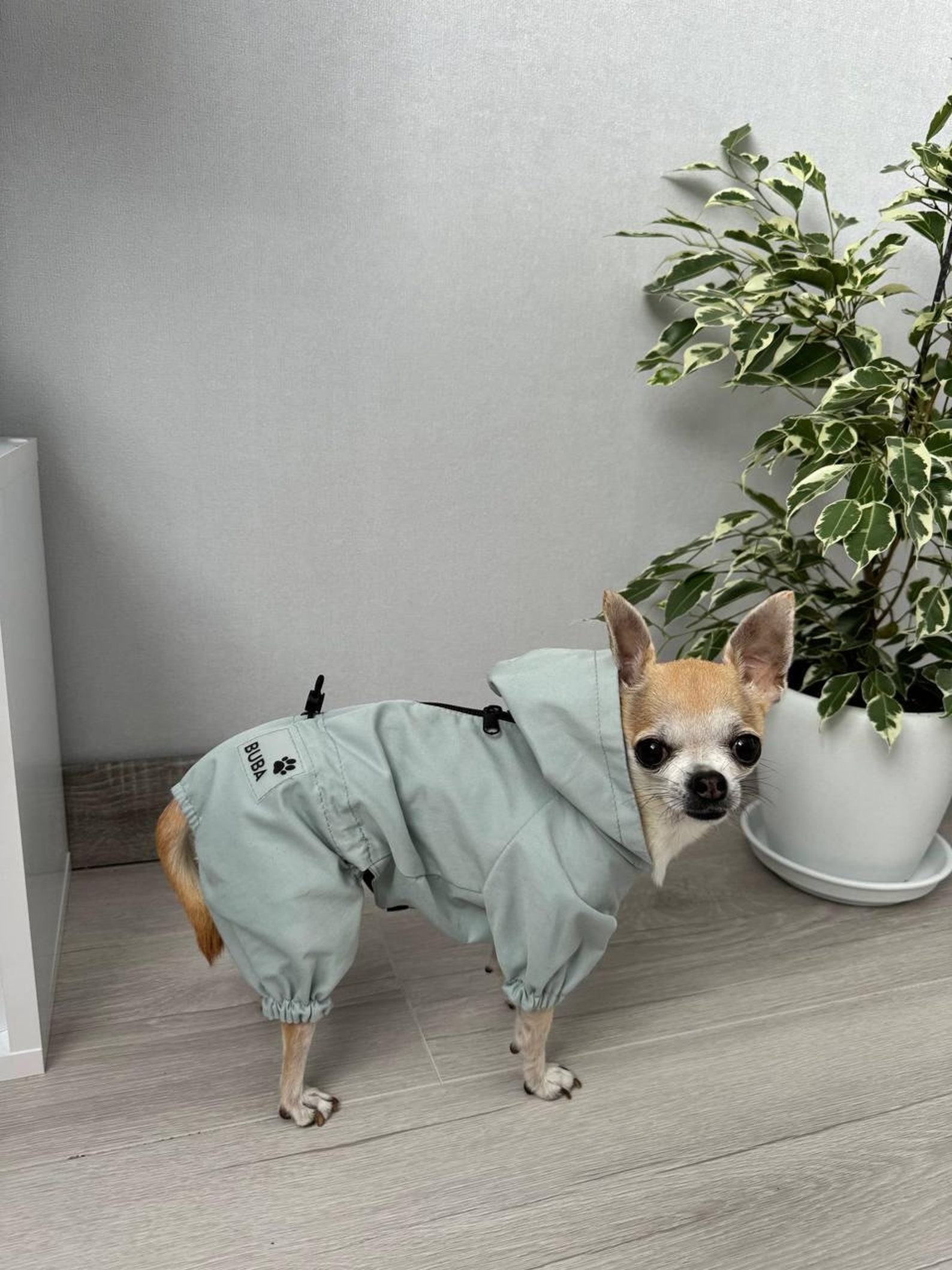 LovinPet Großer Hundeschlafanzug Mit Hai-Muster - Leichter Pyjama Für Große Hunderassen, UV-Schutz, 3XL