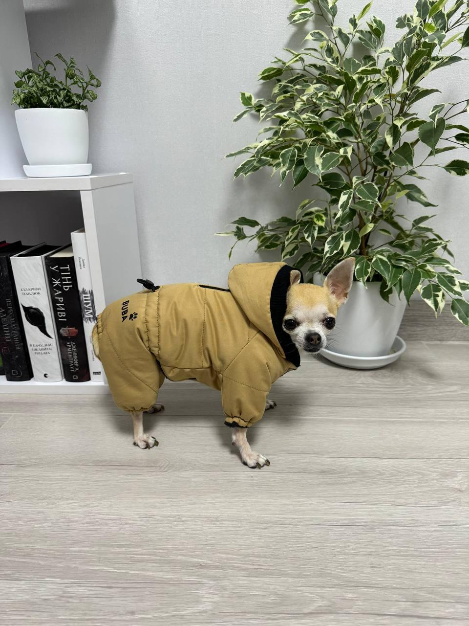 Chihuahua kleidung - Etsy.de