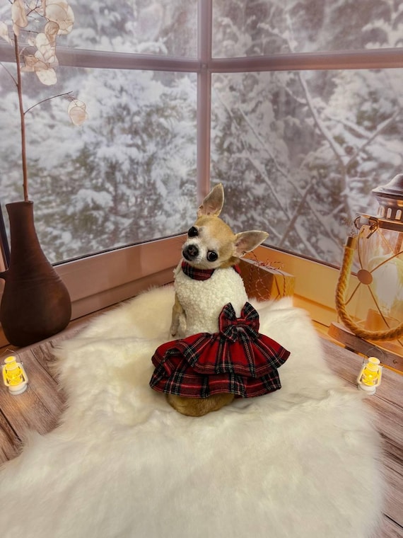 pet holiday dress Santa Christmas Dog Party Dresses | Poshdoglife.com