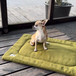 May include: A small, tan chihuahua dog sits on a green rectangular dog bed with a brown border. The bed is on a wooden floor.