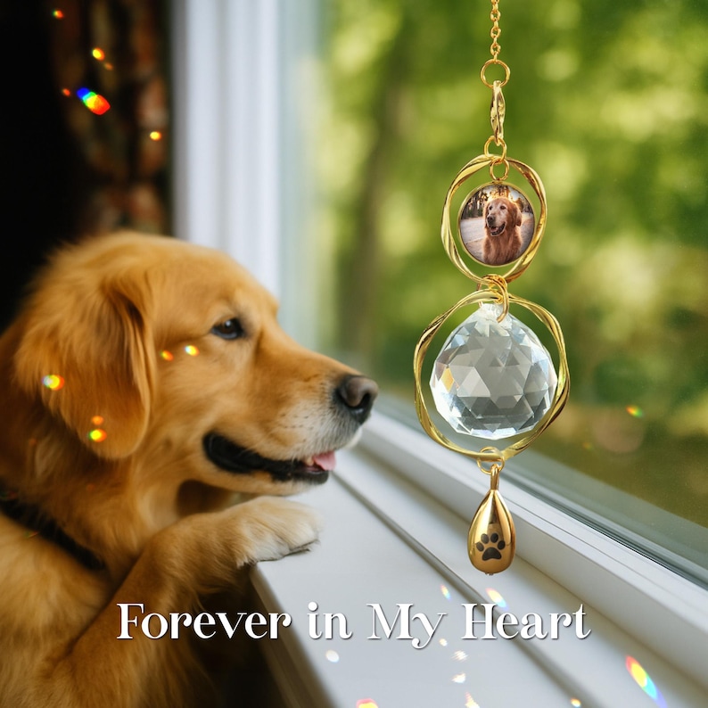 May include: A golden retriever looks out a window next to a gold-colored memorial ornament. The ornament has a photo of a dog, a crystal ball, and a paw print charm. The text "Forever in My Heart" is at the bottom.
