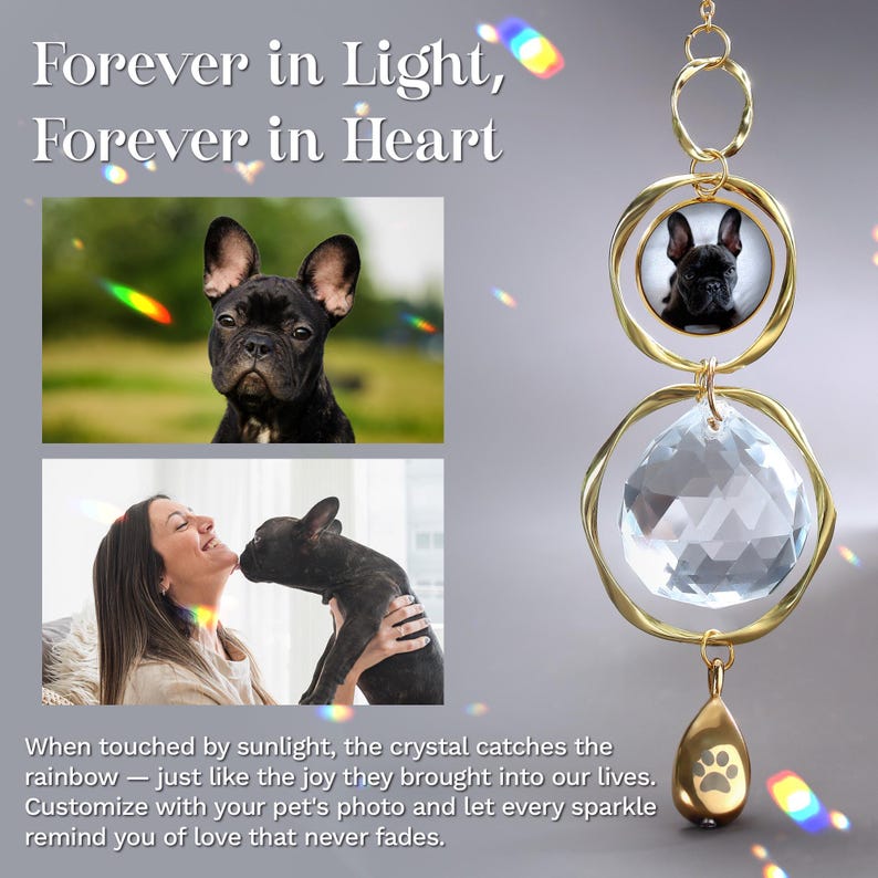 May include: A gold-toned suncatcher with a clear crystal and a paw print charm. The suncatcher features a circular frame holding a photo of a black French Bulldog. Text reads "Forever in Light, Forever in Heart."