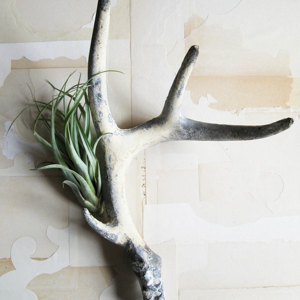 vintage cast iron antler