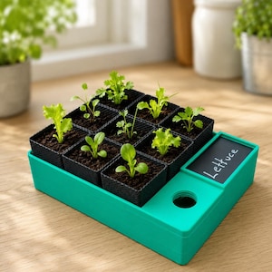 May include: A teal green seedling tray holding nine small black pots with soil and young plants. A small chalkboard with the word "Lettuce" is attached. The tray is on a light wood surface.