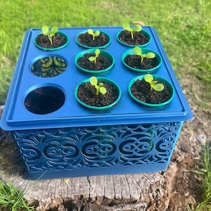 Self Watering Seed Starter with Greenhouse Cover – 9-Cell Tray for Easy Seed Germination