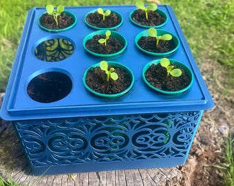 Self Watering Seed Starter with Greenhouse Cover – 9-Cell Tray for Easy Seed Germination