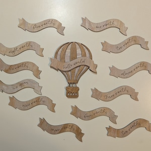 Heteluchtballon Baby maandelijkse mijlpaal Photo Prop digitaal bestand voor snijmachines SVG DXF