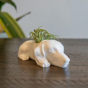 Dachshund Air Plant Holder: 3D Printed Dog Planter