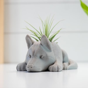 May include: A gray, dog-shaped planter holding a green plant. The planter is lying down with its head and paws extended. The background is a white wall and a wooden panel.