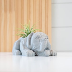 Boxer Air Plant Holder: 3D Printed Dog Planter