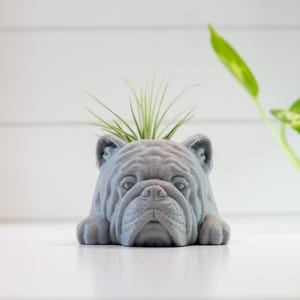 Maceta de aire con diseño de bulldog inglés: Maceta para perro impresa en 3D