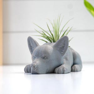 May include: A gray, dog-shaped planter with a small plant sprouting from its head. The planter is made of a smooth material and is resting on a white surface. The dog is lying down, with its ears perked up.