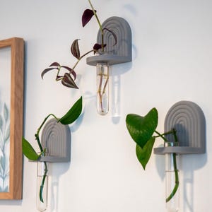 Boho Rainbow Wall Propagation Station: 3D Printed Plant Vase