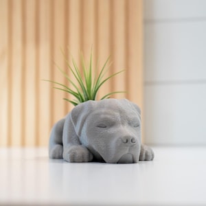 Pit Bull Air Plant Holder: 3D Printed Dog Planter