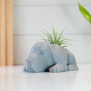 Basset Hound Air Plant Holder: 3D Printed Dog Planter