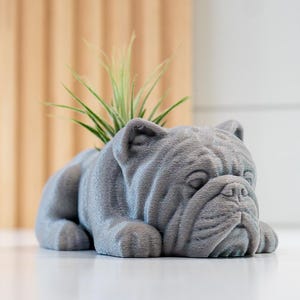 以下が含まれることがあります： 小さな緑の植物が植えられた、グレーのブルドッグ型のプランター。詳細な彫刻は白い表面に置かれ、背景には木製のパネルと白い壁があります。ユニークな装飾品です。