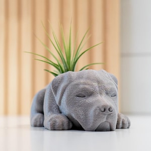 Pittie Air Pflanzenhalter / Pflanzenhalter für Zimmerpflanzen / Pflanzenregal Zubehör / Pit Bull abgeschnittene und ungeschnittene Ohren / kleiner Schreibtisch-Übertopf / 3D gedruckt