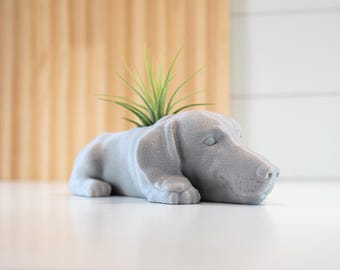 Dachshund Air Plant Holder / Indoor Plant Shelf Accessories