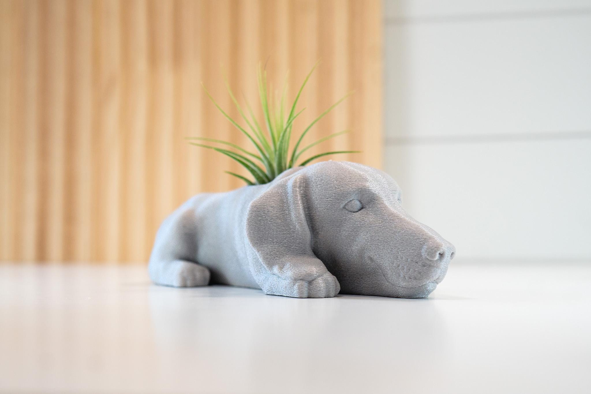 Dachshund Air Plant Holder / Indoor Plant Shelf Accessories