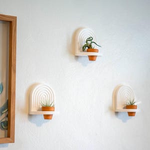 May include: Three white, arched wall shelves with small terracotta pots holding plants are mounted on a white wall. A framed artwork with blue and green leaves is on the left. The shelves have a modern, minimalist design.
