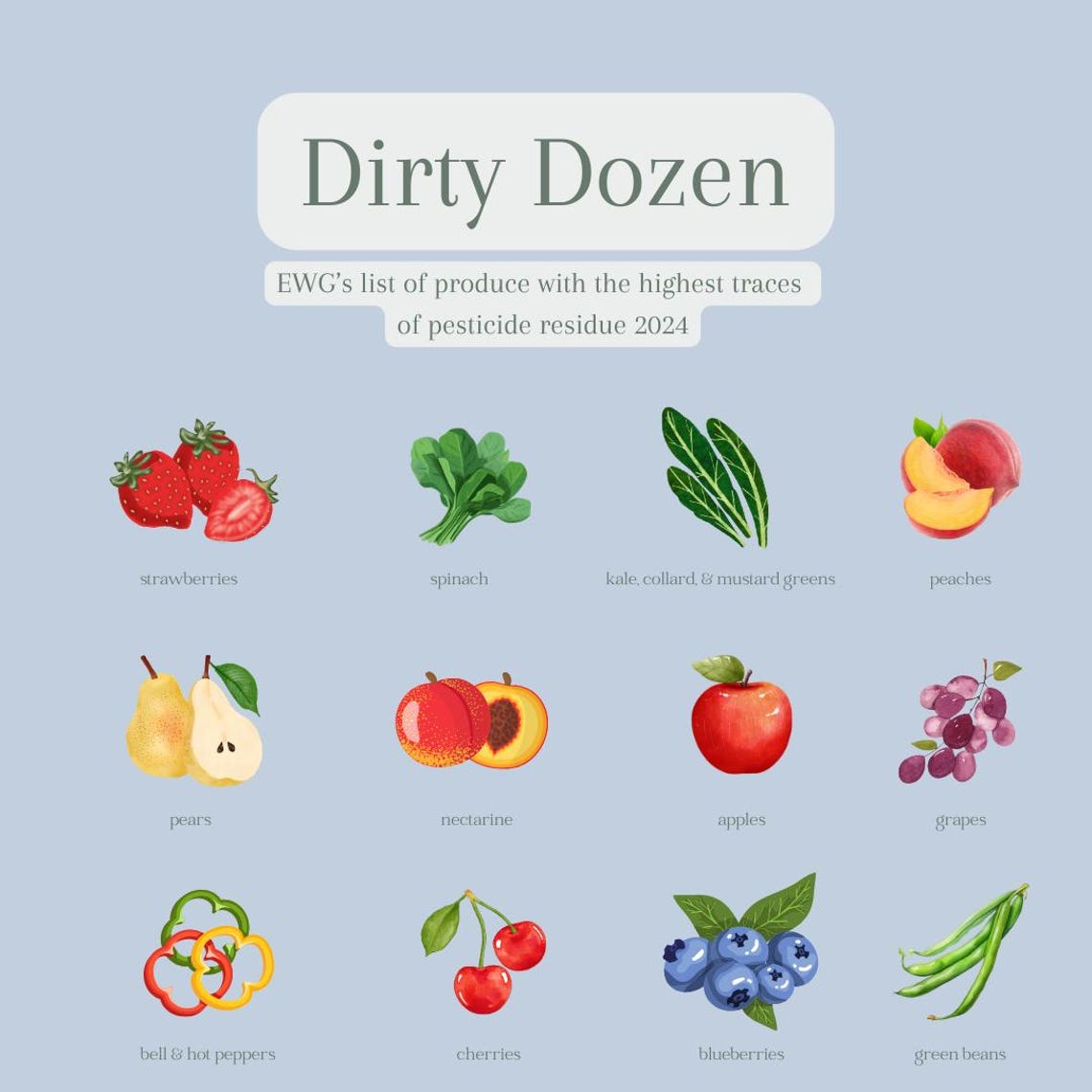 Printable Produce Chart Clean Fifteen Dirty Dozen Visual Etsy