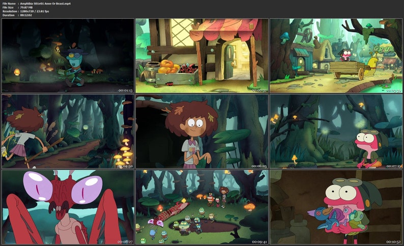 Amphibia Dvd-like Quality - Etsy
