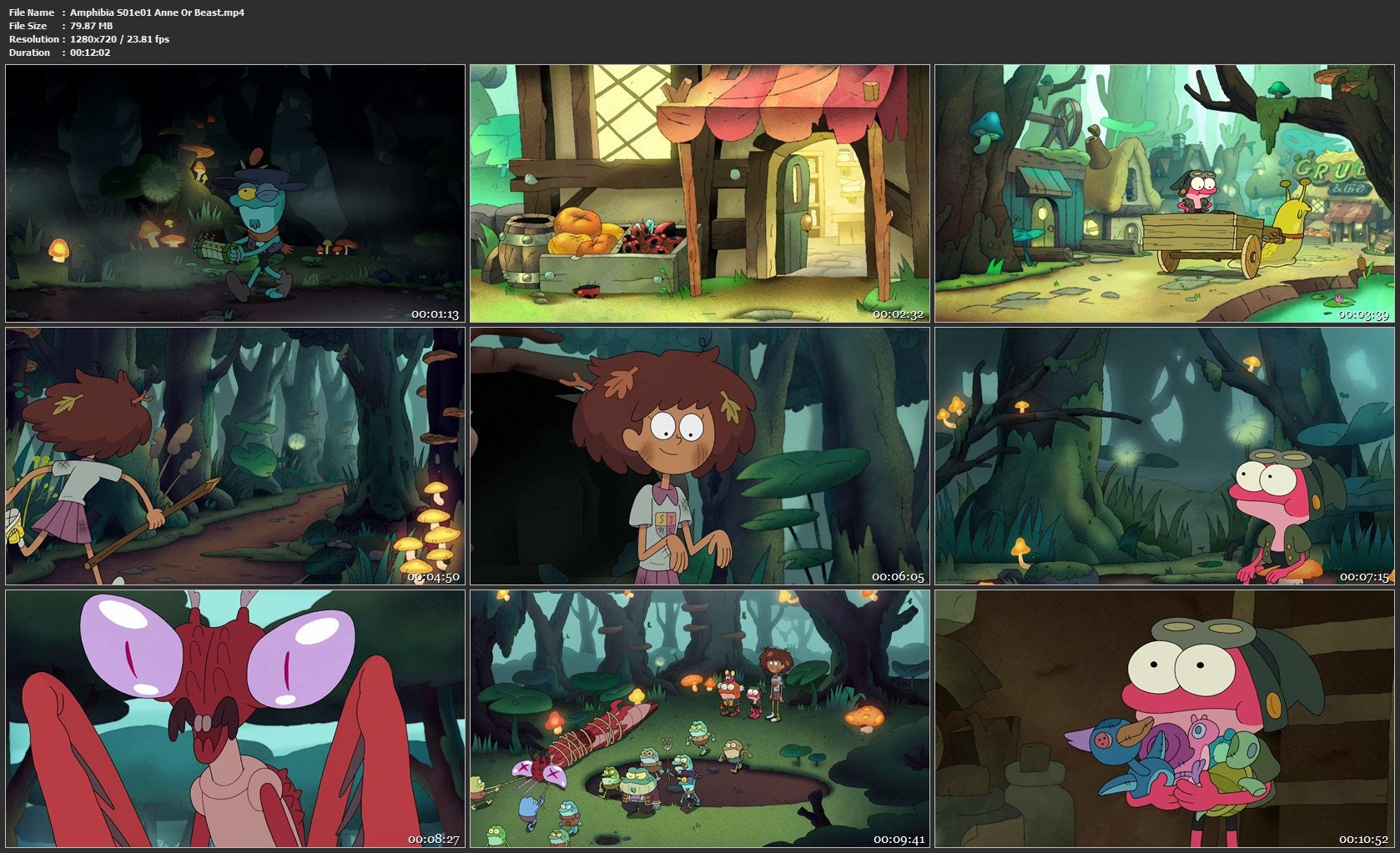 Amphibia Dvd-like Quality - Etsy