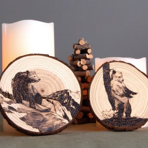 Custom handmade Wood Burned Coasters, Pet Portraits, Wall Decor, Cottage Core, Birthday Gift, Anniversary Gift, 8-11 cm Wide