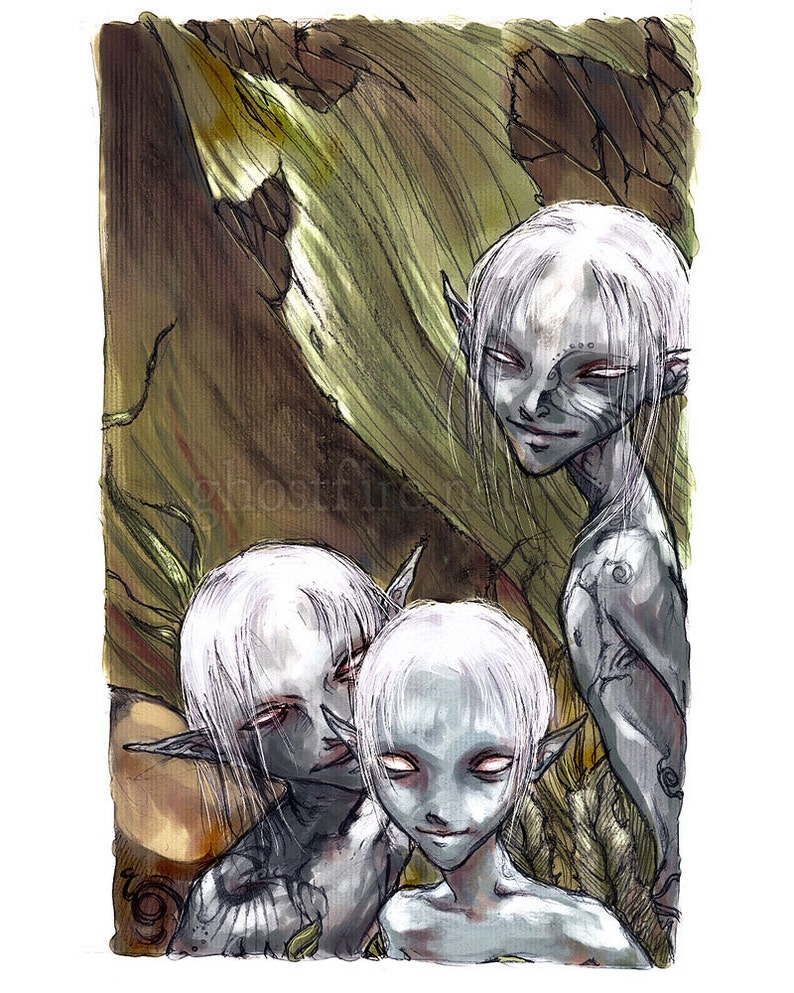 Three Mischievous Forest Fae Elf Elven Boys Art Print 8 x 10 or 8.5 x 11 Night Fae image 1