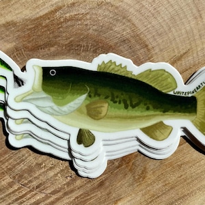 Hand-designed Minnesota fish inspired sticker: &quot;The Bass&quot;