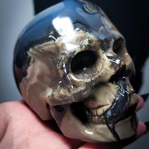 Volcano Agate Skull (98G)