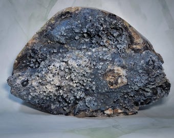 May include: A large, irregularly shaped rock formation with a dark blue-grey hue. The surface is textured with numerous small, white, and grey formations, creating a unique, organic appearance. The rock has areas of brown and tan coloration.