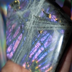 Labradorite Freeform (38EEE)