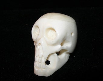 Carved white bone skull,  Halloween 24/7, Halloween All Year, SpookyCute, Team ESST, paganteam, olyteam,  WWWG