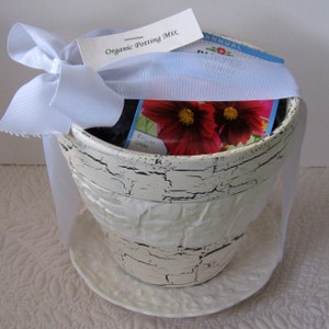 May include: A white ceramic pot with a distressed finish, tied with a white ribbon and a tag that reads "Organic Potting Mix". Inside the pot is a packet of flower seeds with a picture of pink flowers and the word "Annual".