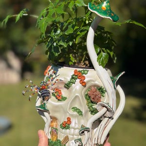 May include: A cream-colored ceramic skull planter adorned with small green and orange mushrooms, moss-like textures, crystals, and a beaded spider. A green leafy plant grows from the top, and a tall mushroom stem extends from the side.