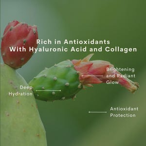 Vitamin C Serum | Brightening & Hydrating Facial Oil | Prickly Pear and Rose Hip image 3