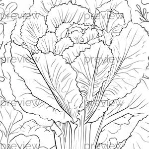 May include: Black and white line drawing of a large leafy vegetable, possibly cabbage or lettuce, with detailed veining and ruffled edges. The image is a close-up, showing the intricate patterns of the leaves.