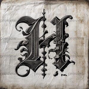 May include: A detailed, gothic-style letter "N" in black and grey, with elaborate floral and scroll patterns. The design is set on a textured, aged paper background, giving a vintage feel. The word "preview" is watermarked across the image.