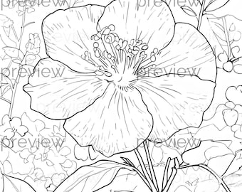 Beautiful Black and White Flower Line Drawing for Coloring - Seamless Pattern for Digital Paper, Gift Wrap, and Printable Projects