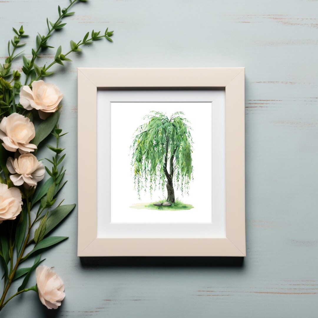 Serene Willow Tree Illustration With Lush Green Foliage and Smooth