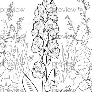 Elegantes Schwarz-Weiß-Gladiolen-Blumenmuster für nahtloses digitales Papier, Geschenkverpackung und druckbare Kunstprojekte