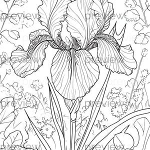 Può includere: Illustrazione dettagliata in bianco e nero di un fiore di iris in piena fioritura. L'immagine mostra l'intricata struttura dei petali del fiore e il fogliame circostante, creando un tema botanico. L'opera d'arte è un disegno a tratto, adatto per la colorazione o il design.