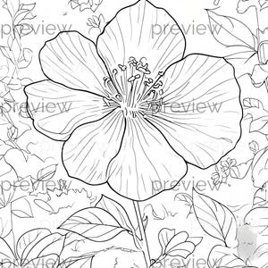Elegante Schwarz Weiß Blumen Linie Zeichnung Muster für digitales Papier, Geschenkverpackung und druckbares Kunsthandwerk