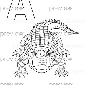 A wie Alligator Malseite - lustige lehrreiche Ausmalseite für Kinder, die das Alphabet lernen
