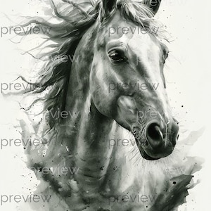 Impressionante arte de cabeça de cavalo em aquarela em preto e branco - Download digital para decoração de casa