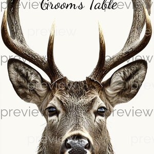 May include: A detailed portrait of a deer with large antlers, set against a white background. The deer's fur is a mix of brown and gray, with the text "Groom's Table" in the center. The antlers are large and textured.