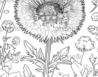 Elegante dibujo floral en blanco y negro para patrones sin costuras, papel digital, papel de regalo y papel imprimible.