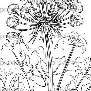 Charmante zwart-wit bloeiende plant lijntekening - naadloos patroon voor digitaal papier en cadeaupapier