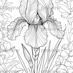 Può includere: Illustrazione in bianco e nero di un fiore di iris con petali e foglie dettagliati. L'immagine è una pagina da colorare, con un grande fiore centrale e elementi floreali circostanti.